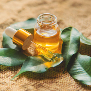 Why Is Tea Tree Oil The Most Trending Product Now?